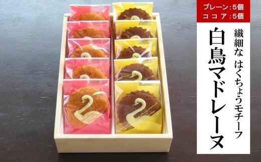 【期間限定】長嶺大池 白鳥マドレーヌ・白鳥マドレーヌココア 各5個（計 10個入り）[Y0587]
