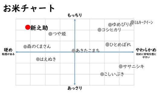 令和7年産米【五ツ星お米マイスター厳選・3ヶ月定期便】新之助 白米 5kg×3回（計 15kg）[Y0589]