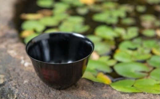 【新潟県伝統的産業品認定 斑紫銅】斑紫銅酒器 Tanrei 黒仕上げ[ZD559]