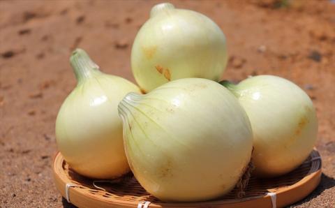 新潟スパイスカレー 中辛 オリジナルブレンドスパイス 180g（1人前） 新潟ブランド豚 岩船豚使用ポークカレー