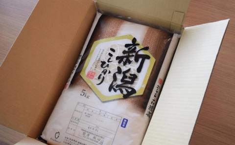 【令和7年産新米】新潟県特別栽培米 コシヒカリ 無洗米 5kg 望月鉄心が育てたお米[ZB467]
