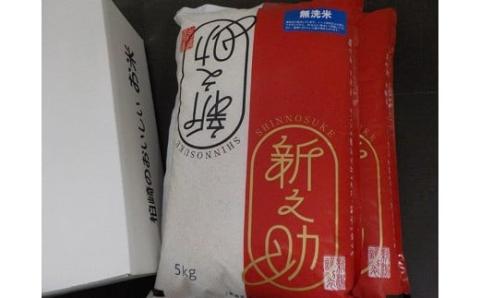 【令和7年産米】新之助 無洗米 10kg（5kg×2袋） 徳永農園[Y0132]