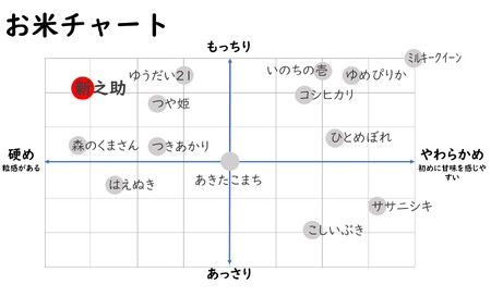 【令和7年産新米】新之助 無洗米 6kg（2kg×3袋） ヤタらうんめぇお米 新潟県産 小分け しんのすけ 水田環境鑑定士在籍[Y0177]