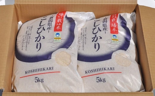 【令和7年産新米】コシヒカリ 無洗米 10kg（5kg×2袋） 新潟県認証特別栽培米 お米 新潟県産 アグリーホンマ[Y0365]