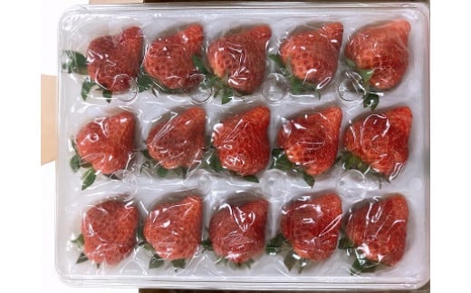 【先行予約・1月～発送】新潟のお姫様いちご♪越後姫（24～36粒）新潟県オリジナル品種[ZB618]