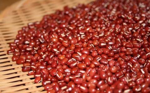 老舗あんこ屋のおうちで作る「おしるこセット（こしあん＆小倉あん）」2人前×10個入[ZF329]