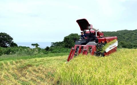 【令和7年産新米】新潟県特別栽培米 コシヒカリ 無洗米 5kg 望月鉄心が育てたお米[ZB467]