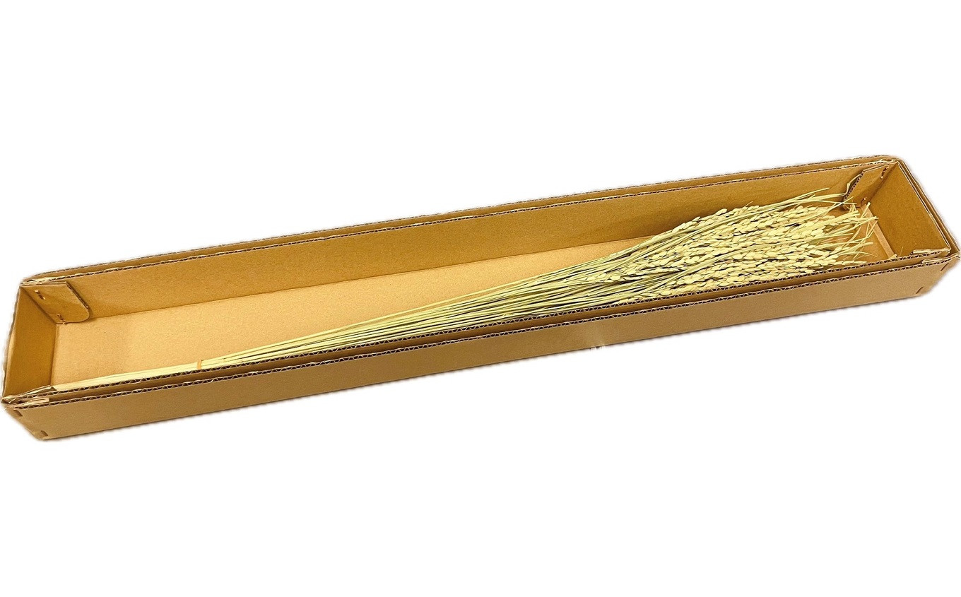 コシヒカリの稲穂 飾り素材 インテリア用