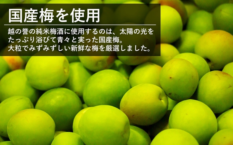本格日本酒仕込み 純米梅酒 500ml×2本 越の誉