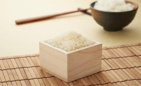 新米先行予約【令和7年産米・5ヶ月定期便】真空パック 特別栽培米 コシヒカリ 無洗米 6kg（3kg×2袋）×5回（計 30kg） 山波農場のお米 新潟県産 [Y0038]