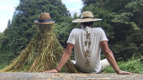 【令和7年産新米】ペットボトル米 コシヒカリ 無洗米 1.8kgボトル×2本（計 3.6kg）新潟県認証特別栽培米 重ちゃんが愛情込めて作ったお米[Y0069]