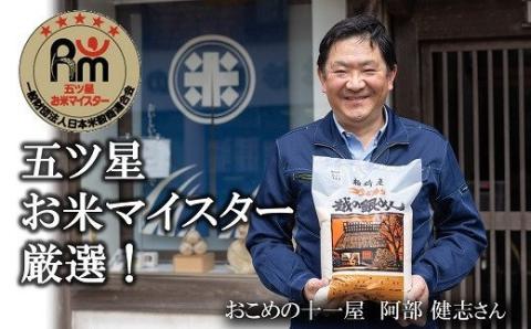 令和7年産米【五ツ星お米マイスター厳選・3ヶ月定期便】新之助 白米 10kg（5kg×2袋）×3回（計 30kg）[Y0265]