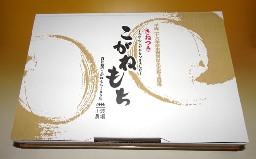 【数量・期間限定】杵つきこがねもち 白餅 400g入×6パック（計48切） 切り餅 特別栽培米 新潟県産[Y0505]