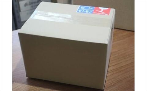 耐熱ガラス製 越後びーどろぐい呑 1個＆徳利 1個セット