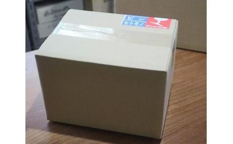 耐熱ガラス製 わんこ・にゃんこ足跡マグ 300ml（1個）