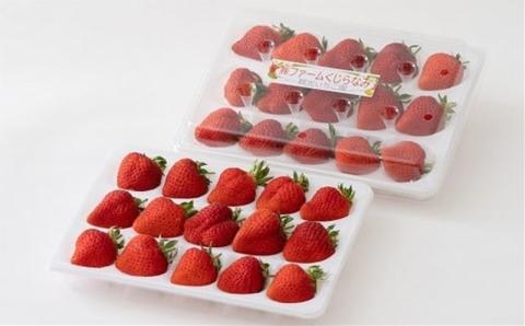 【先行予約・数量限定】越後姫 24～30粒 甘くてジューシー！新潟ブランドいちご ファームくじらなみより直送[ZB360]