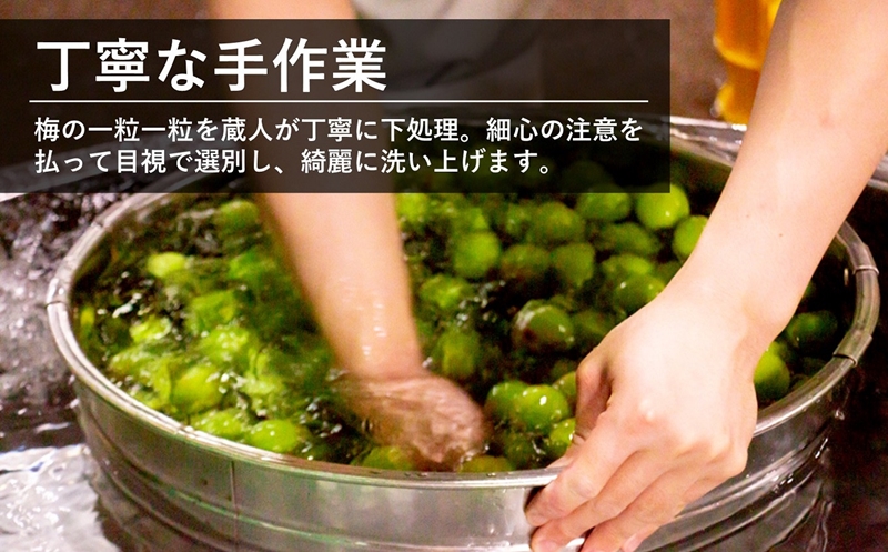 本格日本酒仕込み 純米梅酒 500ml×2本 越の誉