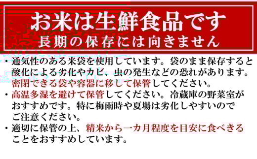 【令和7年産新米】甘味の強いプレミアム米 新潟県認証特別栽培米 新之助 白米 5kg アグリーホンマ[Y0358]