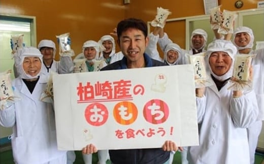 【数量・期間限定】杵つきこがねもち 白餅 400g入×6パック（計48切） 切り餅 特別栽培米 新潟県産[Y0505]