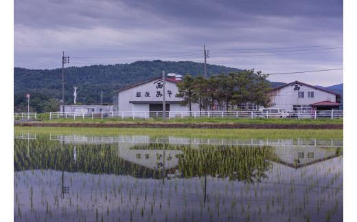 新潟県産大豆・コシヒカリ使用 米みそ「柏崎三階節みそ 糀」と「みそ漬」4種類セット[Y0529]