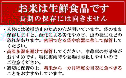 令和7年産新米【五ツ星お米マイスター厳選】新之助 白米 5kg[Y0564]