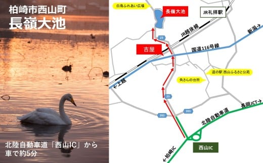 【期間限定】長嶺大池 白鳥マドレーヌ 10個[Y0586]