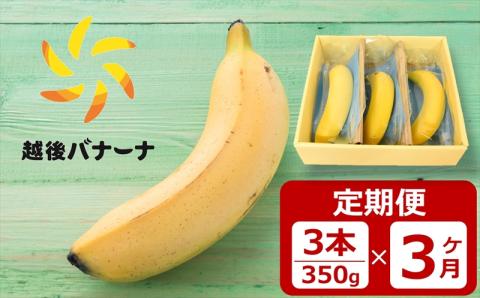 【定期便・雪国新潟産バナナ】3本（350g）×3回 濃厚な甘さともっちり食感！安心安全の越後バナーナ