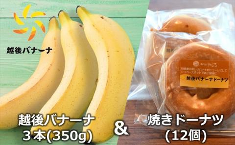 【雪国新潟産バナナ】越後バナーナ3本（350g）＆焼きドーナツ 12個 セット