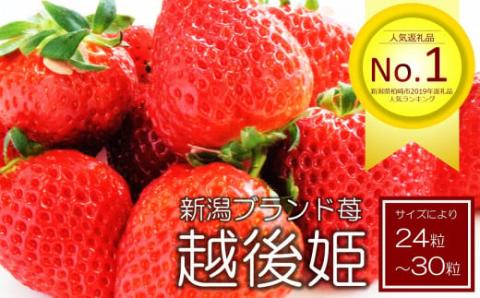 【先行予約・数量限定】越後姫 24～30粒 甘くてジューシー！新潟ブランドいちご ファームくじらなみより直送[ZB360]