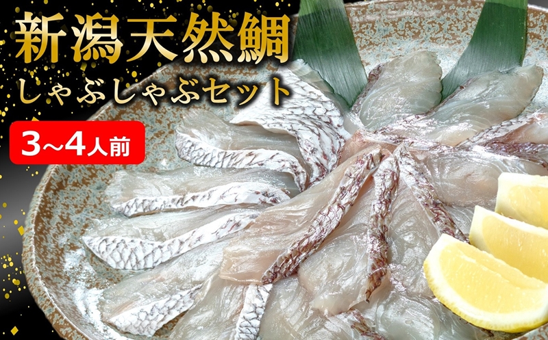 【先行予約・令和8年3～5月発送】鯛しゃぶセット 3～4人前[Y0034]