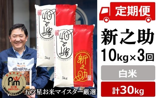 令和7年産米【五ツ星お米マイスター厳選・3ヶ月定期便】新之助 白米 10kg（5kg×2袋）×3回（計 30kg）[Y0265]