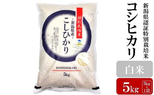 【令和7年産新米】コシヒカリ 白米 5kg 新潟県認証特別栽培米 お米 新潟県産 アグリーホンマ[Y0362]