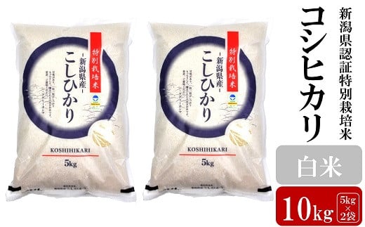 【令和7年産新米】コシヒカリ 白米 10kg（5kg×2袋） 新潟県認証特別栽培米 お米 新潟県産 アグリーホンマ[Y0364]