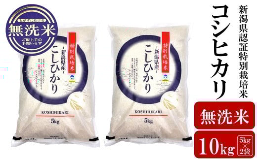 【令和7年産新米】コシヒカリ 無洗米 10kg（5kg×2袋） 新潟県認証特別栽培米 お米 新潟県産 アグリーホンマ[Y0365]