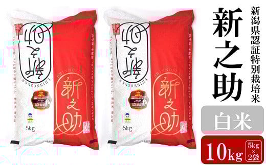 【令和7年産新米】新之助 白米 10kg（5kg×2袋）新潟県認証特別栽培米 お米 新潟県産 アグリーホンマ[Y0368]