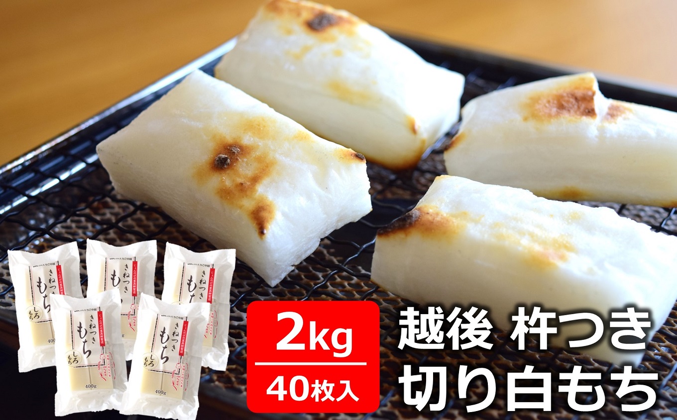 【12/15決済完了分まで年内発送】きねつきもち 白もち 40切 2kg （400g×5袋） 食べきり 2個ずつ個包装 [Y0391]