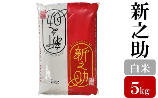 令和7年産新米【五ツ星お米マイスター厳選】新之助 白米 5kg[Y0564]