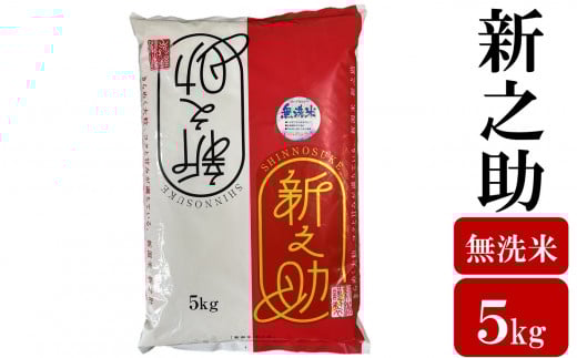 令和7年産新米【五ツ星お米マイスター厳選】新之助 無洗米 5kg[Y0565]