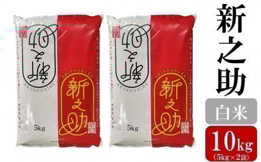 令和7年産新米【五ツ星お米マイスター厳選】新之助 白米 10kg（5kg×2袋）[Y0566]