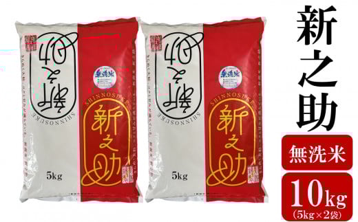 令和7年産新米【五ツ星お米マイスター厳選】新之助 無洗米 10kg（5kg×2袋）[Y0567]