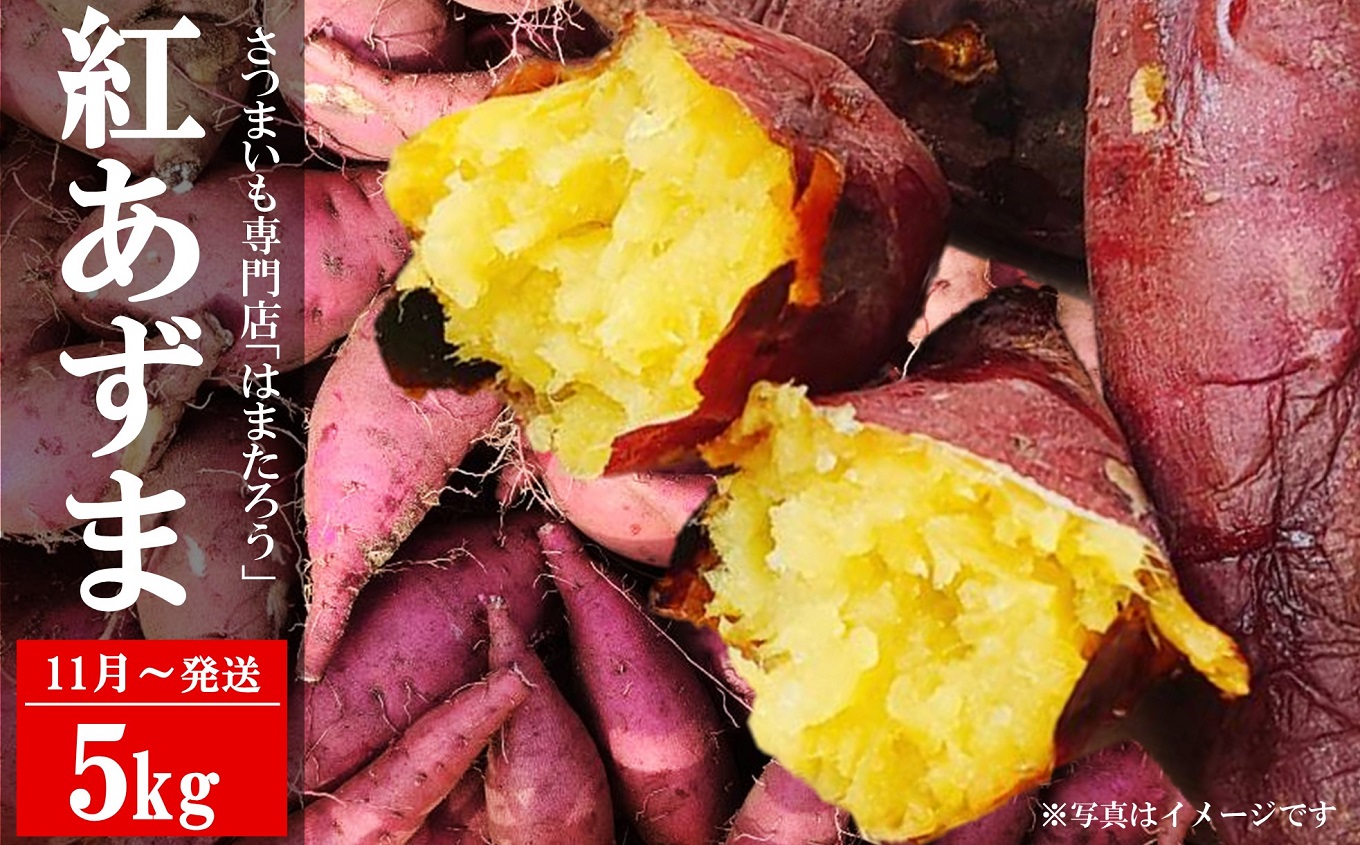 さつまいも 紅あずま 5kg 新潟県柏崎産 はまたろう【数量・期間限定】[ZB570]