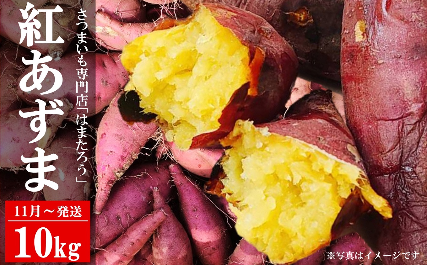 さつまいも 紅あずま 10kg 新潟県柏崎産 はまたろう【数量・期間限定】[ZF324]
