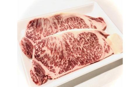 H08_01　先崎畜産　新発田牛ロース（ステーキ用）250ｇ×2