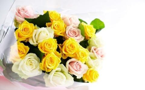 生産者直送！バラの花束 お任せMIX20本 【 バラ 生花 花束 フラワーアレンジメント 記念日 プレゼント 花 20本 MIX G01_03 】