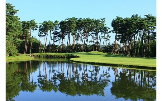 新発田市内ゴルフ場共通感謝券(300,000円分) 【 温泉 旅行 感謝券 旅行券 宿泊券 利用券 宿泊 新潟 ゴルフ 月岡 A02_100 】