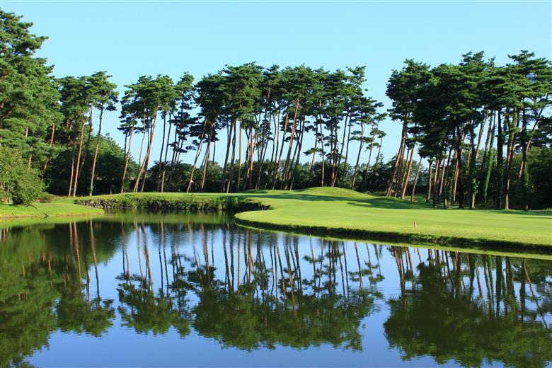 【ゴルフ】新発田市内 共通感謝券 旅行券 宿泊券 利用券 新潟 月岡 A02
