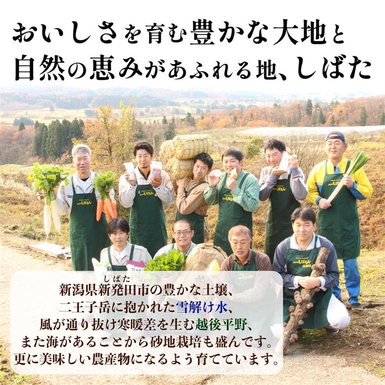 野菜 果物 旬 お楽しみセット 10~13種類 詰め合わせ ほうれん草 水菜 アスパラガス トマト オクラ ぶどう もも さといも オータムポエム りんご にんじん 大根 リーフレタス 米 コシヒカリ みそ にんにく辛みそ ジャム 新潟 新発田 C16_01