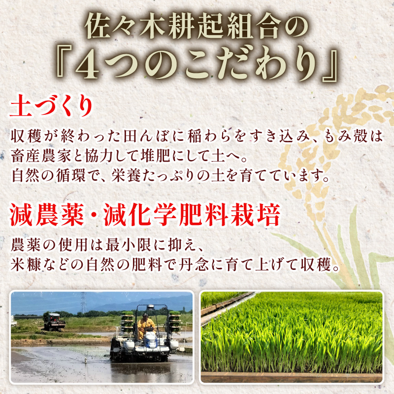 餅 お餅 もち えちごへいや 杵つき餅 バラエティセット 年内発送 もち 季節限定 正月 おせち もち 草もち 豆もち よもぎ くるみ エビ えび 海老 コシヒカリ 米 防災 備蓄 保存食 非常食 正月 餅 おせち 佐々木耕起 お餅 もち kome 年末 年始 新年 お雑煮 新潟県 新潟 新発田 C36_03