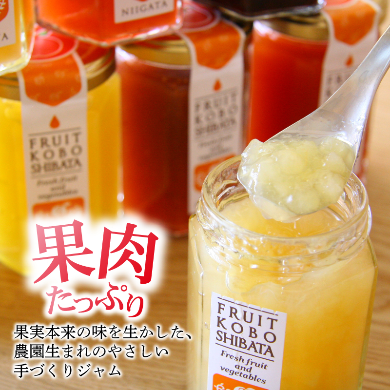 ジャム 6個セット（6種×150g）【自家製 ジャム 詰合せ 手作り 果物 贈り物 ギフト 高橋農園 新潟県 新発田市】 C55