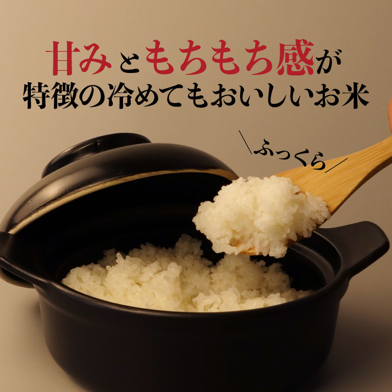 令和6年産 米 6kg 新潟県産 ミルキークイーン 2kg×3袋 精米 玄米 自宅用 家庭用 贈答用 ギフト お祝い 白米 お弁当 おにぎり ご飯 ごはん 人気 おすすめ 新潟県 新発田市 D10_01